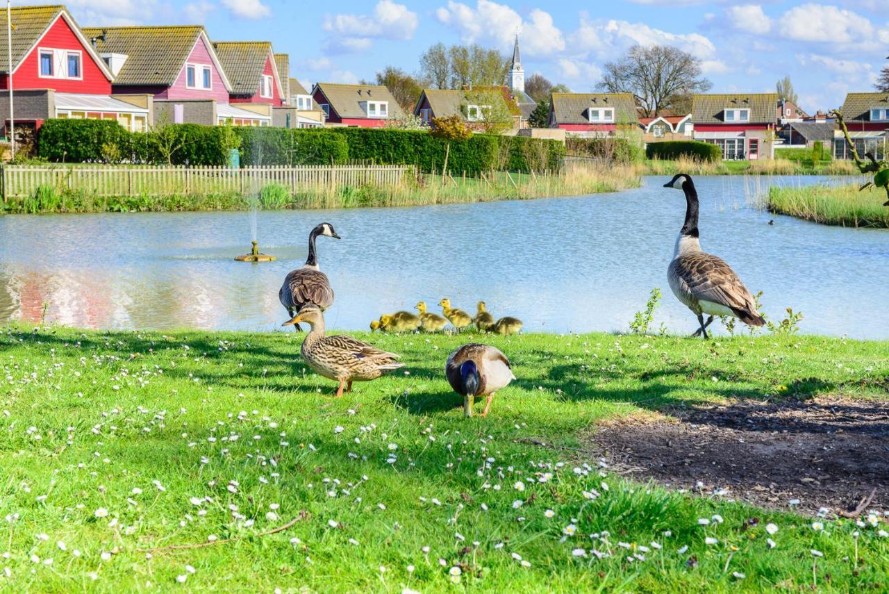 Grimaud 151 - Kustpark Village Scaldia Hoofdplaat Dış mekan fotoğraf